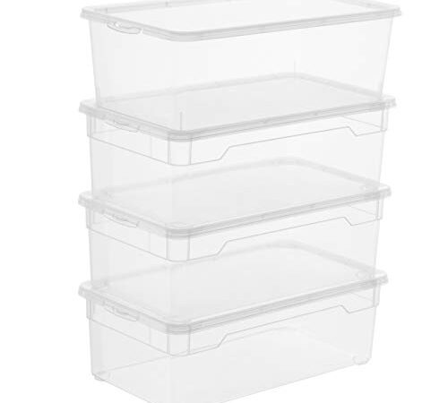 Rotho Clear Juego de 4 cajas de almacenamiento de 5l con tapa, Plástico (PP) sin BPA, transparente, 4 x 5l (33.0 x 19.0 x 11.0 cm)