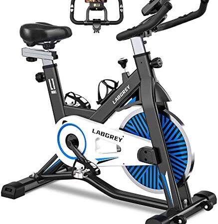 LABGREY Bicicleta Indoor Bici Ejercicio Gym Casa Indoor Fitness Bikes Volante 15 KG, Resistencia Ajustable con Pantalla LCD y Monitor de Frecuencia Cardíaca