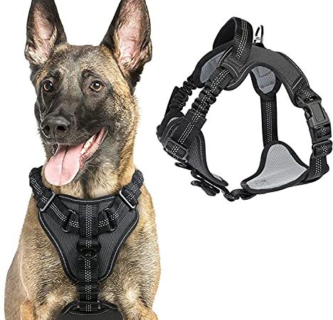 rabbitgoo Arnes Perros Arnés Chaleco Antitirones para Perros Grandes y Medianos con Correas Elásticas para Absorber Golpes Ajustable para Caminar con Asa de Fácil Control Reflectante, Negro L