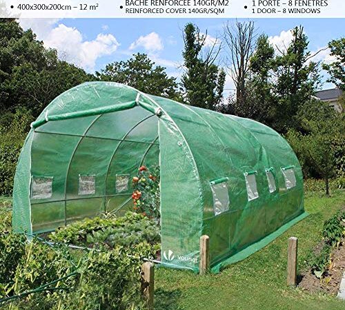 VOUNOT Invernaderos Jardin, Tunel Invernadero Huerto prar Plantas, Ubo de Acero y Plastico, Impermeable, 4 x 3 x 2 m, 12 m², Verde